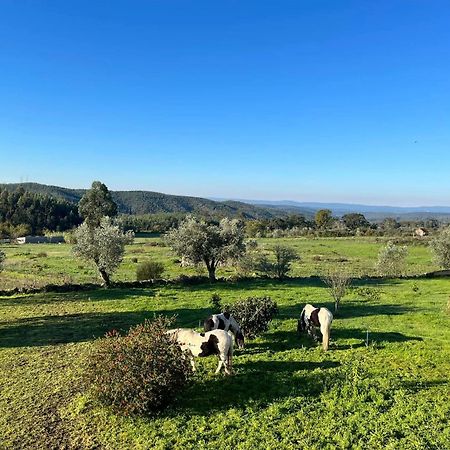 לינה וארוחת בוקר Ázere Quinta Da Barroca Do Cabo מראה חיצוני תמונה