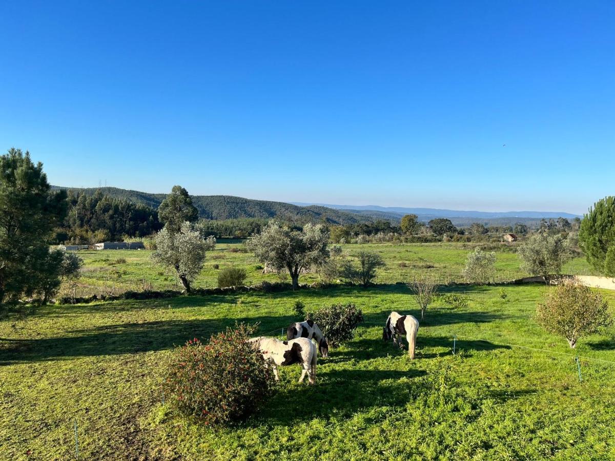 לינה וארוחת בוקר Ázere Quinta Da Barroca Do Cabo מראה חיצוני תמונה