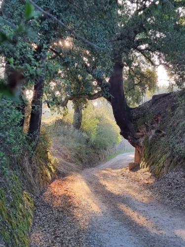 לינה וארוחת בוקר Ázere Quinta Da Barroca Do Cabo מראה חיצוני תמונה