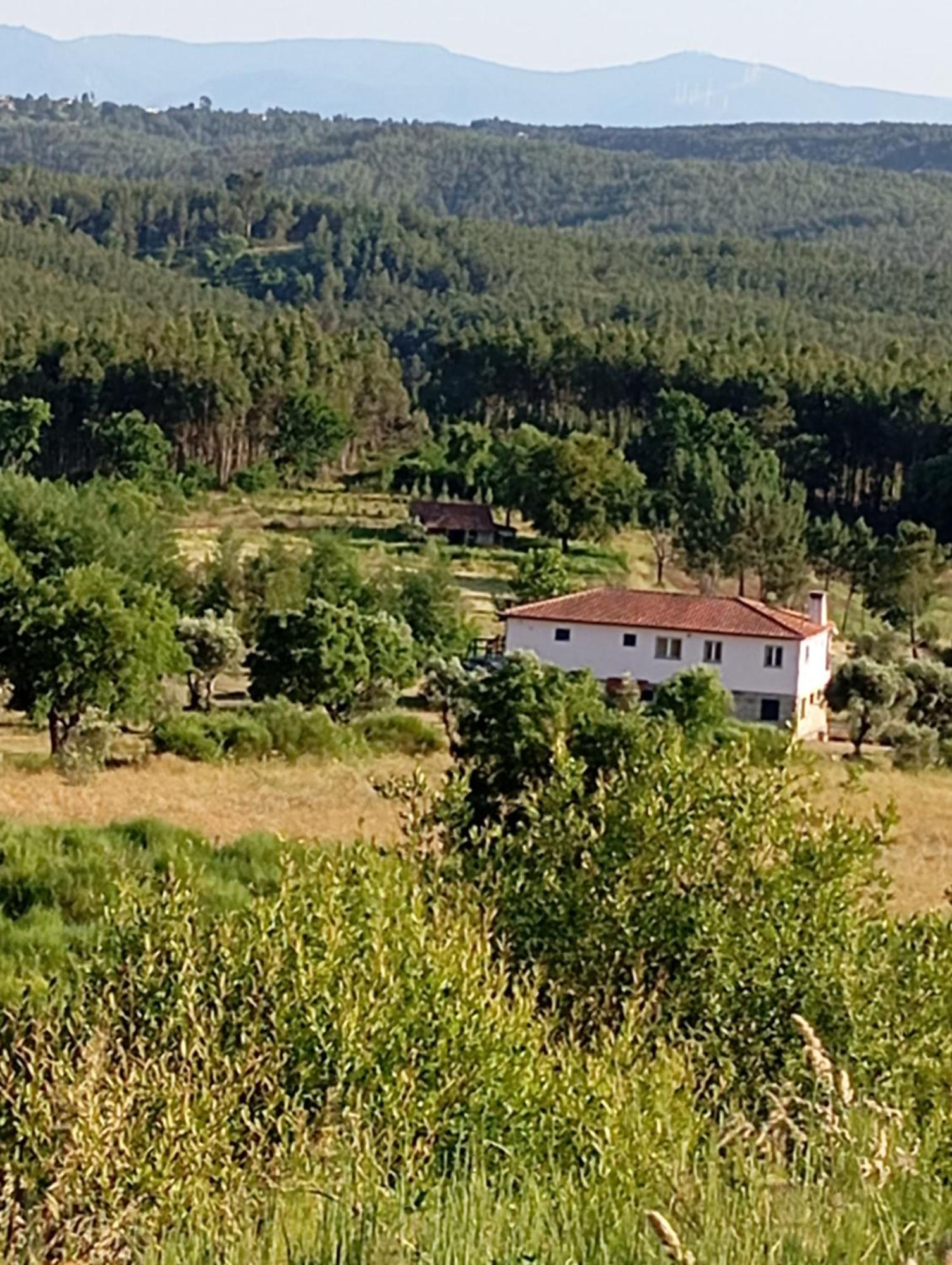 לינה וארוחת בוקר Ázere Quinta Da Barroca Do Cabo מראה חיצוני תמונה